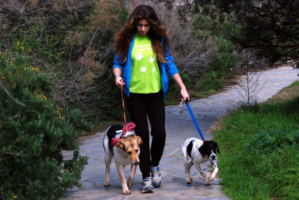 Βόλος: Βόλτα με τα σκυλιά για την ευαισθητοποίηση των κατοίκων